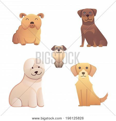 Collection cute different type of dogs small and big. Vector breed dogs isolated set.