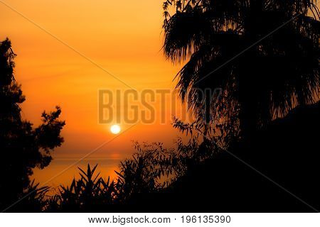 Orange sunset at Crete island Greece orange sun under the sea and dark tree shadows