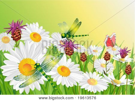 Flor de verano.