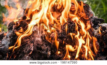 Close up to the burning fire burning garbage pile.