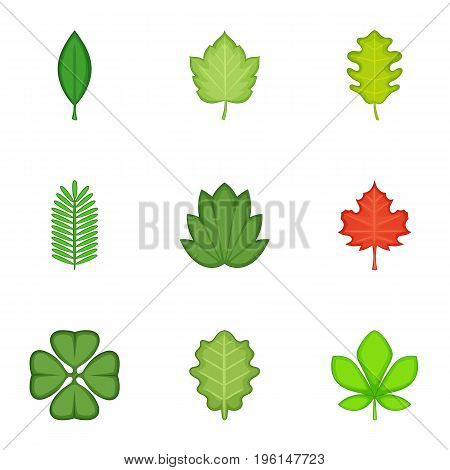 Leaves icons set. Cartoon set of 9 leaves vector icons for web isolated on white background