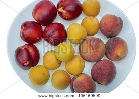 Peach, nectarine and apricot on white plate.