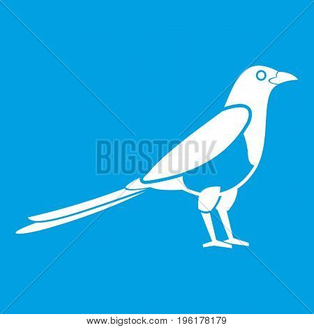 Bird magpie icon white isolated on blue background vector illustration