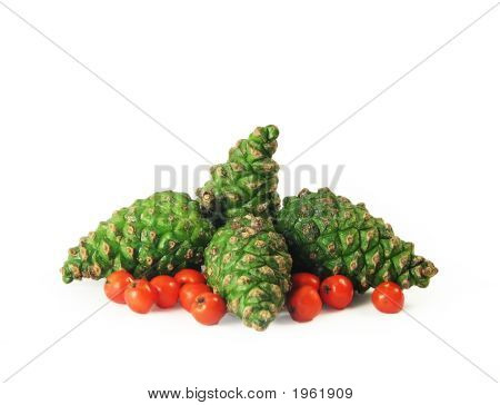 Pine Cones And Rowan