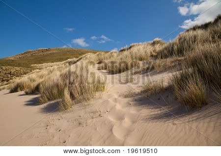Dunas de arena
