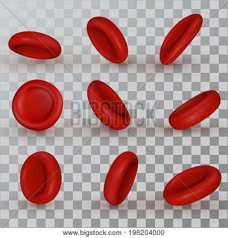 Vector Red Blood Cells.Design Elements Set of 9 3D perspectives