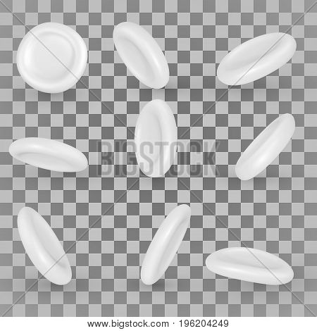 Vector White Blood Cells. Design Elements Set of 9 3D perspectives.