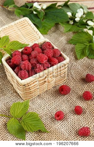 Fresh raspberries in a wicker box and honey green leaves.
