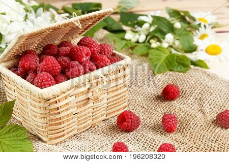 Fresh raspberries in a wicker box and honey green leaves.