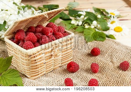 Fresh raspberries in a wicker box and honey green leaves.