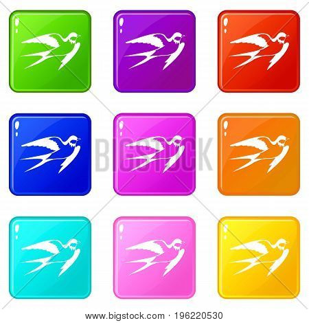 Barn swallow icons of 9 color set isolated vector illustration