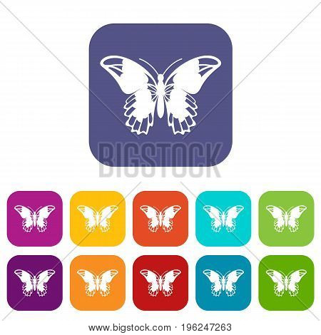 Admiral butterfly icons set vector illustration in flat style in colors red, blue, green, and other