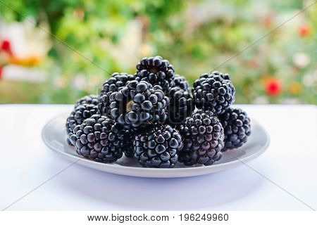 Ripe and delicious blackberries lie on a saucer in front of a window on outside close-up