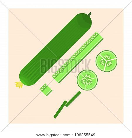 Flat vector fresh green cucumber icon: full cut sliced and cubed. Nice cooking symbol for recipe menu.Vegetable illustration for shop and market design emblem banner