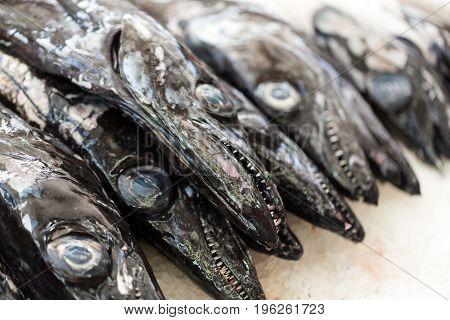 Fish on market black scabbard (espada) in fish market