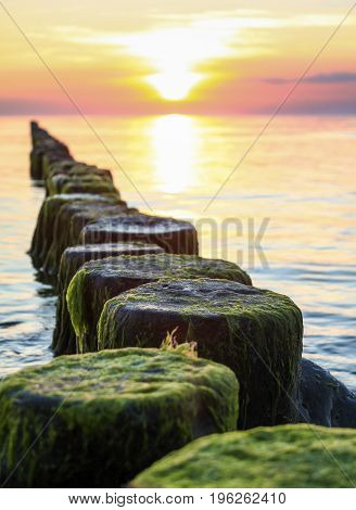 Wooden spur dykes in coastal sunset. Old groynes and wavy sea water, Baltic Sea, Island of Hiddensee, Germany.
