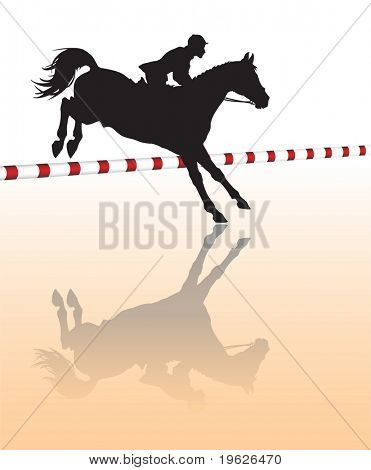 Vector silhouette - sport equestri: salto ostacoli