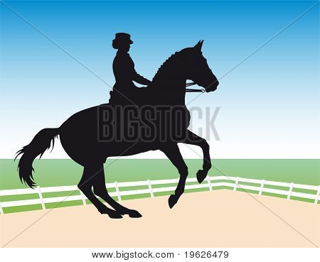 ลานพระกีฬา - dressage