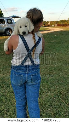 Young girl carrying Akbash puppy to car.