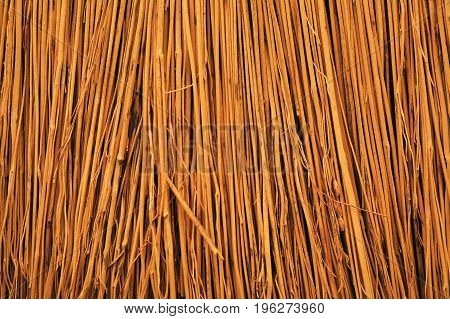 closeup shot of the straws of a traditional broom