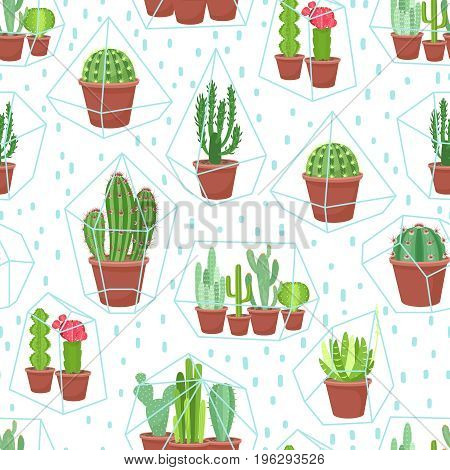 Geometric florarium with cactus and succulents seamless pattern. Vector illustration isolated on white background.