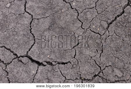Texture background, soil soil in dry region