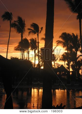 Coucher de soleil tropical à Maui