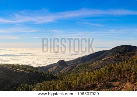 a suggestive sea cloud views from tenerife mountain