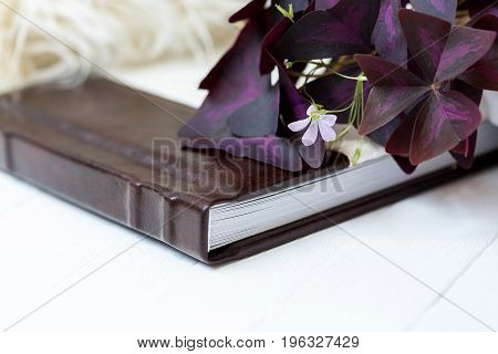 Photobook white with brown lies on a white background near lies a beautiful flower