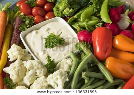 Raw Refreshing Vegetable Crudites Plate