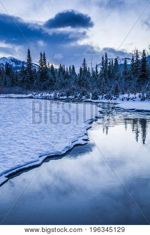 Early Morning At A Creek Near Canmore, Alberta, Canada