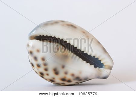 HEM