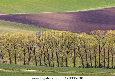 South Moravian Fields, Czech Republic Fields, Moravia Hills