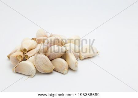 Root garlic blub on white background copyspace shoot