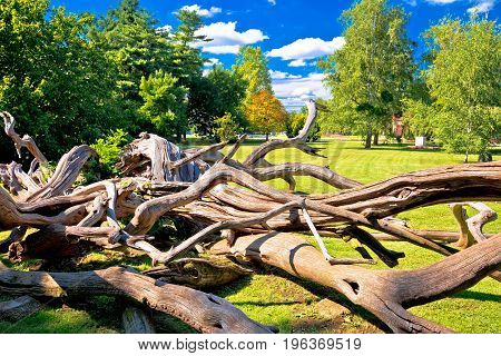 Town Of Cakovec Park Landscape View