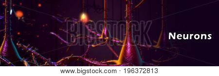 a specialized cell transmitting nerve impulses; a nerve cell.