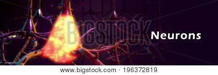 a specialized cell transmitting nerve impulses; a nerve cell.