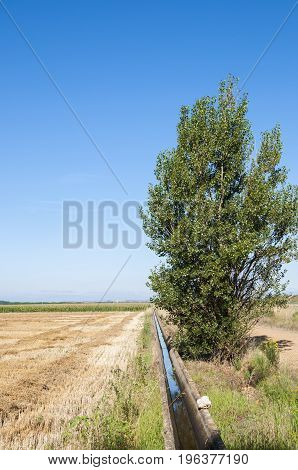 Stubble fields and poplar groves in an irrigated agricultural landscape in the plain of the River Esla, in Leon Province, Spain
