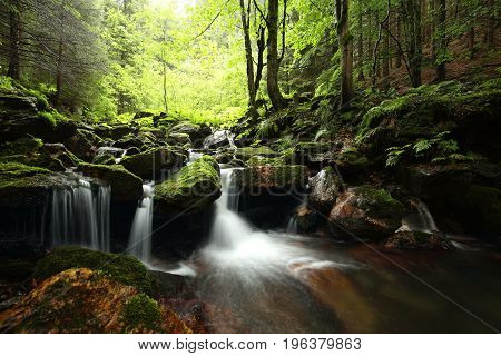 Forest stream Nature background Forest stream river Nature background Forest stream brook Nature background Forest stream spring deciduous trees water Nature background foliage leaves waterfall Nature background Natural environment Nature background.