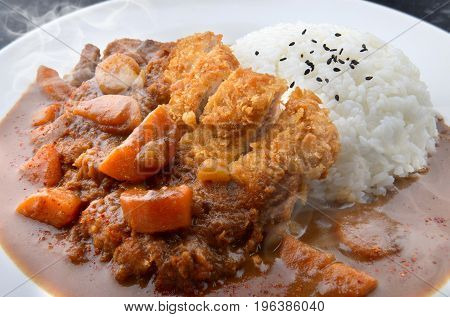 Rice With Deep Fried Pork And Curry .