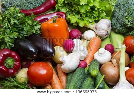 Fresh vegetables tomatoes cucumber squash and greens background close-up