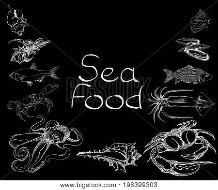 Hand drawn Seafood set. Octopus, fish, oysters, crab, shellfish and mussels. Vector illustration in old ink style.