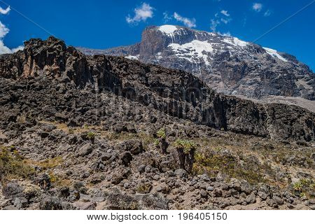 Kilimanjaro view from Machame route trail Tanzania