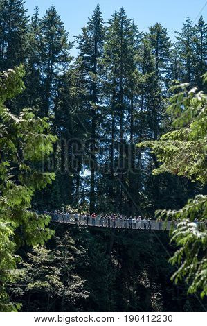 Vancouver Canada - June 24 2017: People crossing the famous Capilano suspension bridge on a sunny day