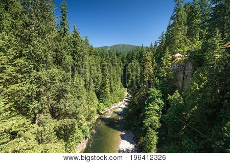 Capilano River On Sunny Day In Vancouver