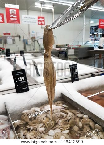 fresh octopus clamping up from the tray by stainless steel food tongs clamp