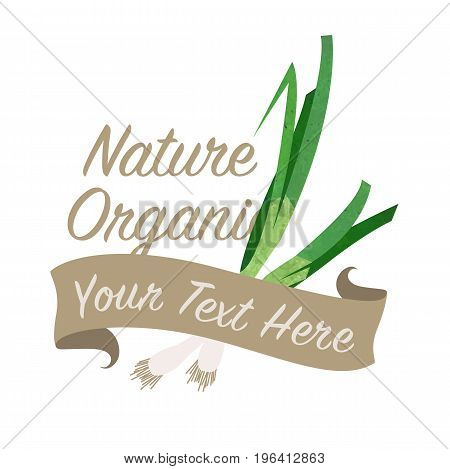 Colorful Watercolor Texture Vector Nature Organic Vegetable Banner Scallion Green Onion