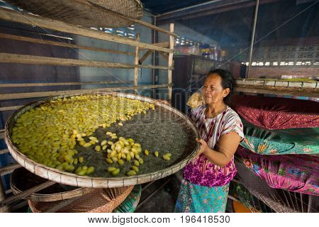 villagers of Ban Sanuan Nok Buriram Province. Thailand - April 30 2017: old women activists are presenting silkworms in farm.traditional thai fabric at Burirum Thailand. The local silk cloth is characterised by elaborate patterns and design