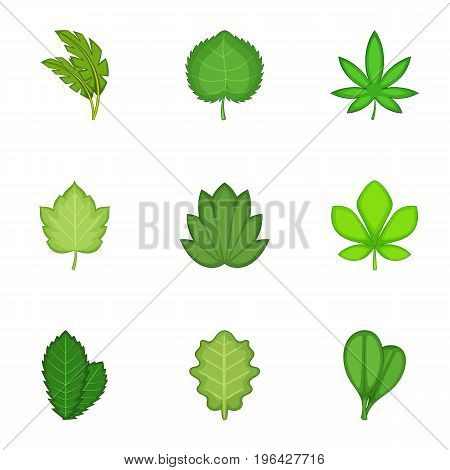 Spring leaves icons set. Cartoon set of 9 spring leaves vector icons for web isolated on white background