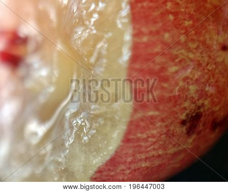 close up macro of red grape with bite out